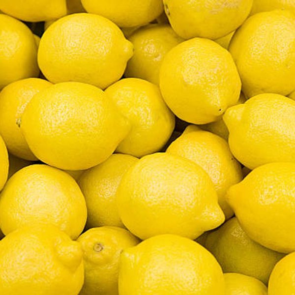 Citron jaune BIO – 500g - Vins Rouges Harmonieux pour Chaque Occasion