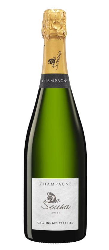 Chemins des Terroirs Brut - Vins Rouges Harmonieux pour Chaque Occasion Chemins des Terroirs Brut - Vins Rouges Harmonieux pour Chaque Occasion