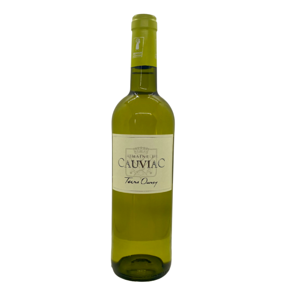 BLANC TERRA OURSY 75 CL - Vins Rouges Harmonieux pour Chaque Occasion