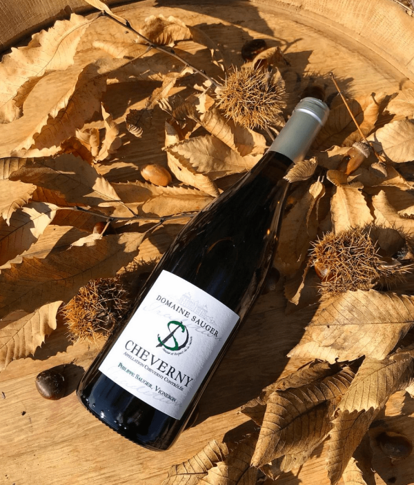 Cheverny Blanc 2021 – Domaine Sauger – 37,5 cl - Vins Rouges Harmonieux pour Chaque Occasion