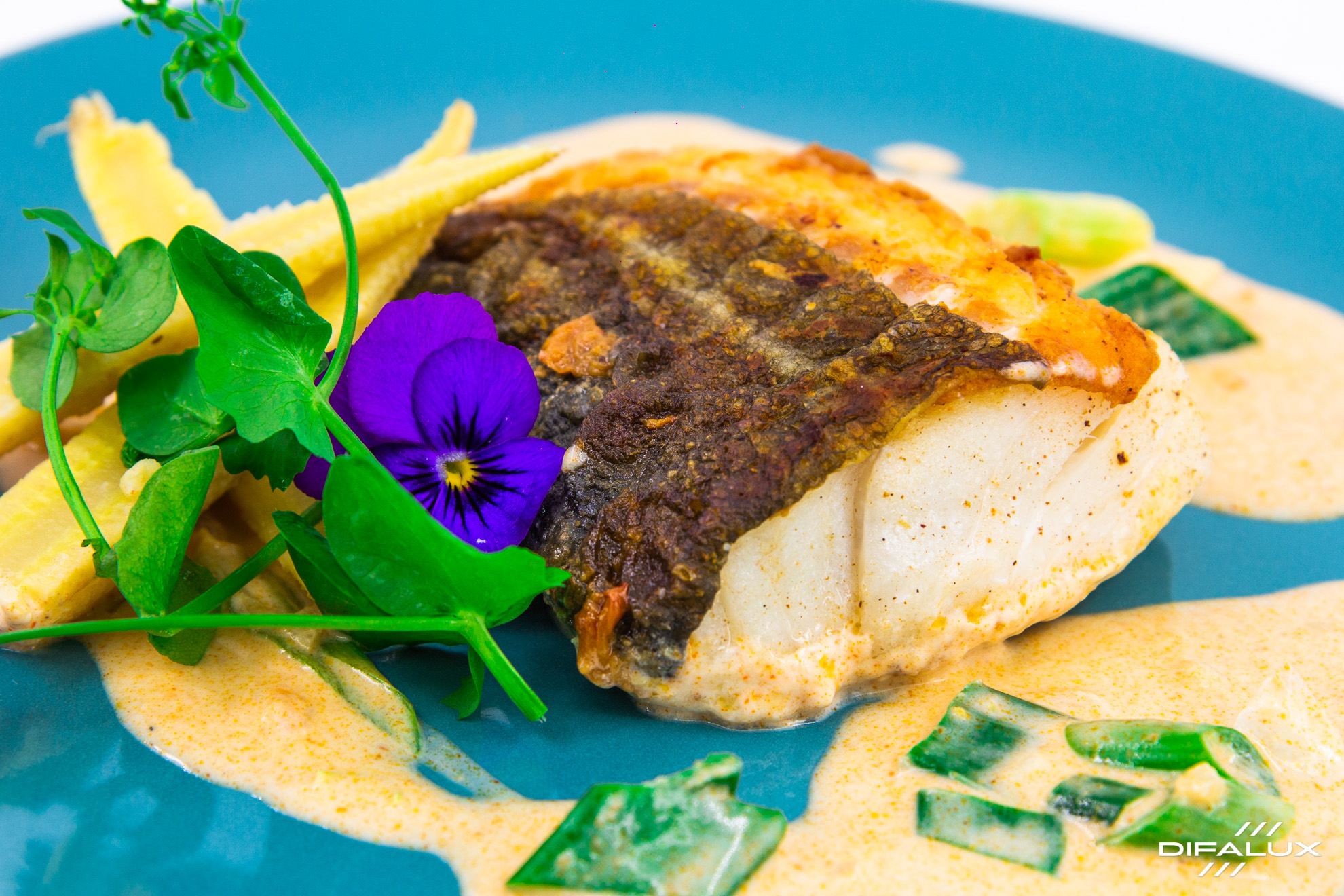 Cœur de cabillaud au curry rouge et lait de coco, mini maïs et oignons verts - Vins Rouges Harmonieux pour Chaque Occasion Cœur de cabillaud au curry rouge et lait de coco, mini maïs et oignons verts - Vins Rouges Harmonieux pour Chaque Occasion