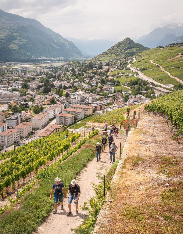 Balade des Grands Murs – Abfahrt 14:00 - Vins Rouges Harmonieux pour Chaque Occasion