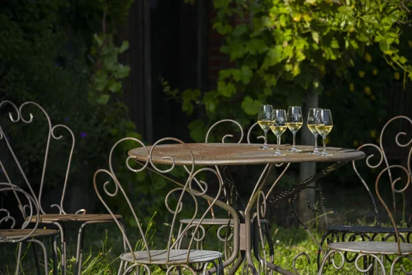 Cocooning gourmand - Vins Rouges Harmonieux pour Chaque Occasion