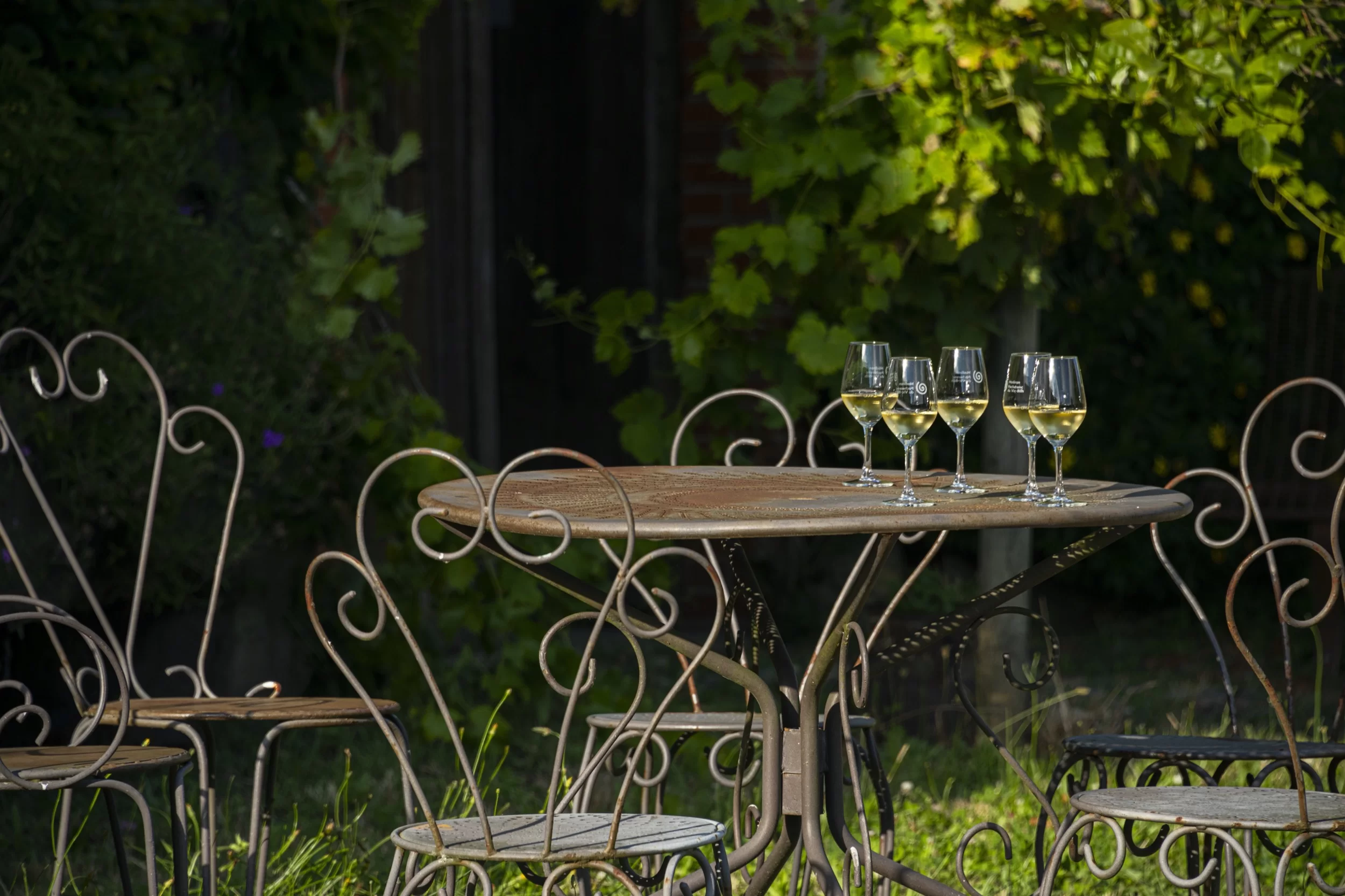 Cocooning gourmand - Vins Rouges Harmonieux pour Chaque Occasion Cocooning gourmand - Vins Rouges Harmonieux pour Chaque Occasion