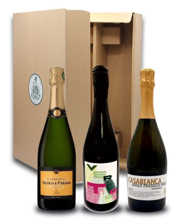 coffret 3 bouteilles - Vins effervescents - Vins Rouges Harmonieux pour Chaque Occasion