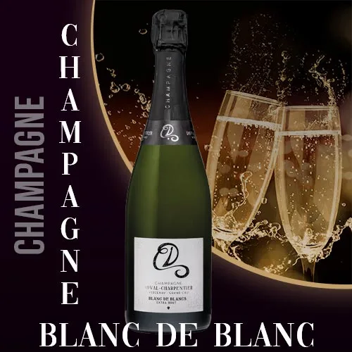 Champagne Blanc de Blancs – Duval Charpentier - Vins Rouges Harmonieux pour Chaque Occasion Champagne Blanc de Blancs – Duval Charpentier - Vins Rouges Harmonieux pour Chaque Occasion