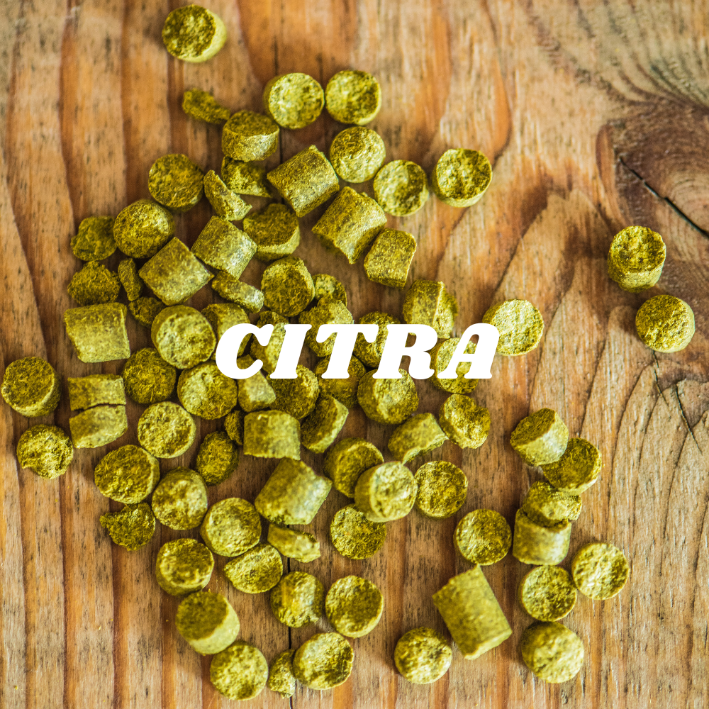 Citra - Vins Rouges Harmonieux pour Chaque Occasion Citra - Vins Rouges Harmonieux pour Chaque Occasion