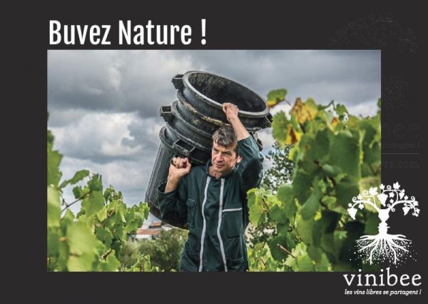 Carte cadeau 100€ - Vins Rouges Harmonieux pour Chaque Occasion