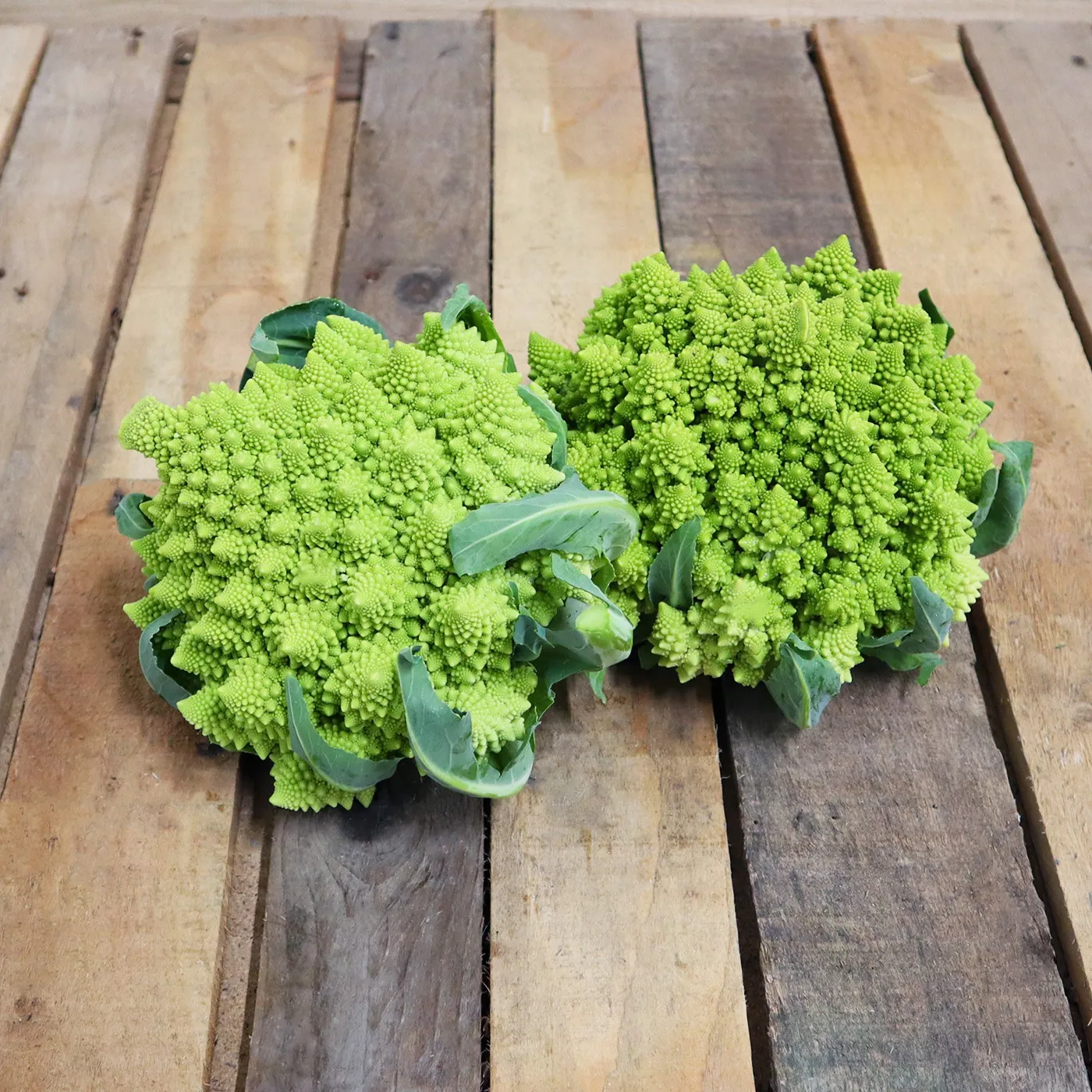 Chou Romanesco - Vins Rouges Harmonieux pour Chaque Occasion Chou Romanesco - Vins Rouges Harmonieux pour Chaque Occasion