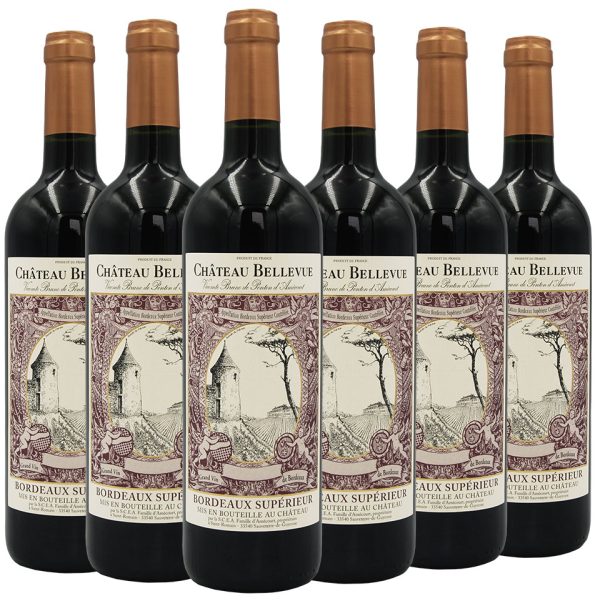 Château Bellevue – Bordeaux Supérieur – Magnum (x6) - Vins Rouges Harmonieux pour Chaque Occasion