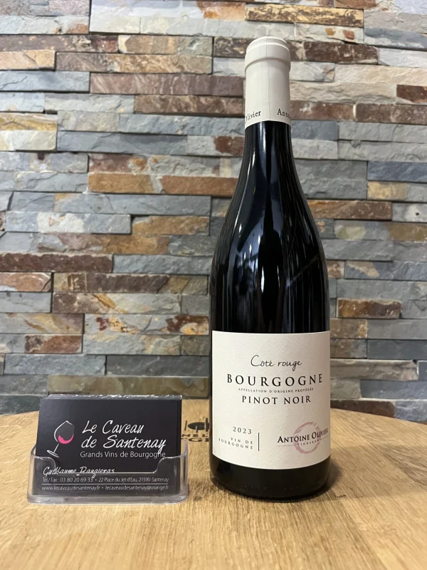 Bourgogne Pinot Noir Rouge 2023 Domaine Antoine OLIVIER - Vins Rouges Harmonieux pour Chaque Occasion