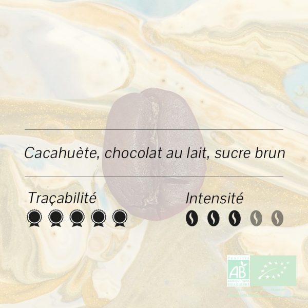 Brésil – Mococa – Bob-o-Link BIO - Vins Rouges Harmonieux pour Chaque Occasion