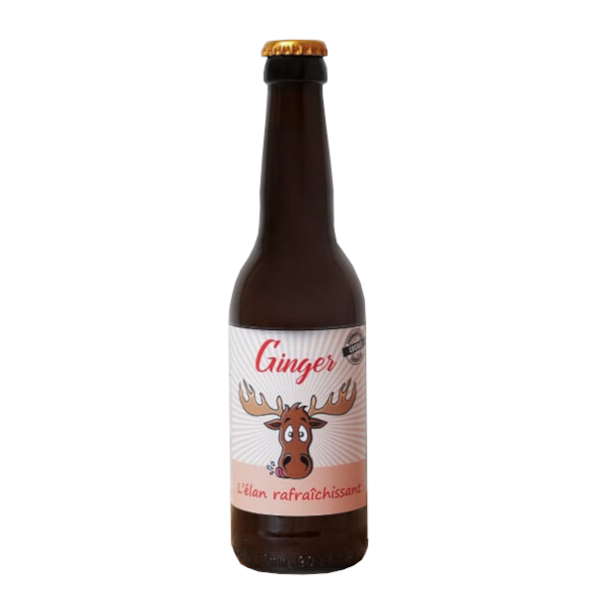 BIERE RICH&rsquo;MOUSSE GINGER 33CL 6% - Vins Rouges Harmonieux pour Chaque Occasion