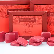 Chocolat Mouchoir de CHOLET (18 pièces 140gr) - Vins Rouges Harmonieux pour Chaque Occasion Chocolat Mouchoir de CHOLET (18 pièces 140gr) - Vins Rouges Harmonieux pour Chaque Occasion