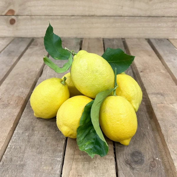 Citron jaune de France - Vins Rouges Harmonieux pour Chaque Occasion