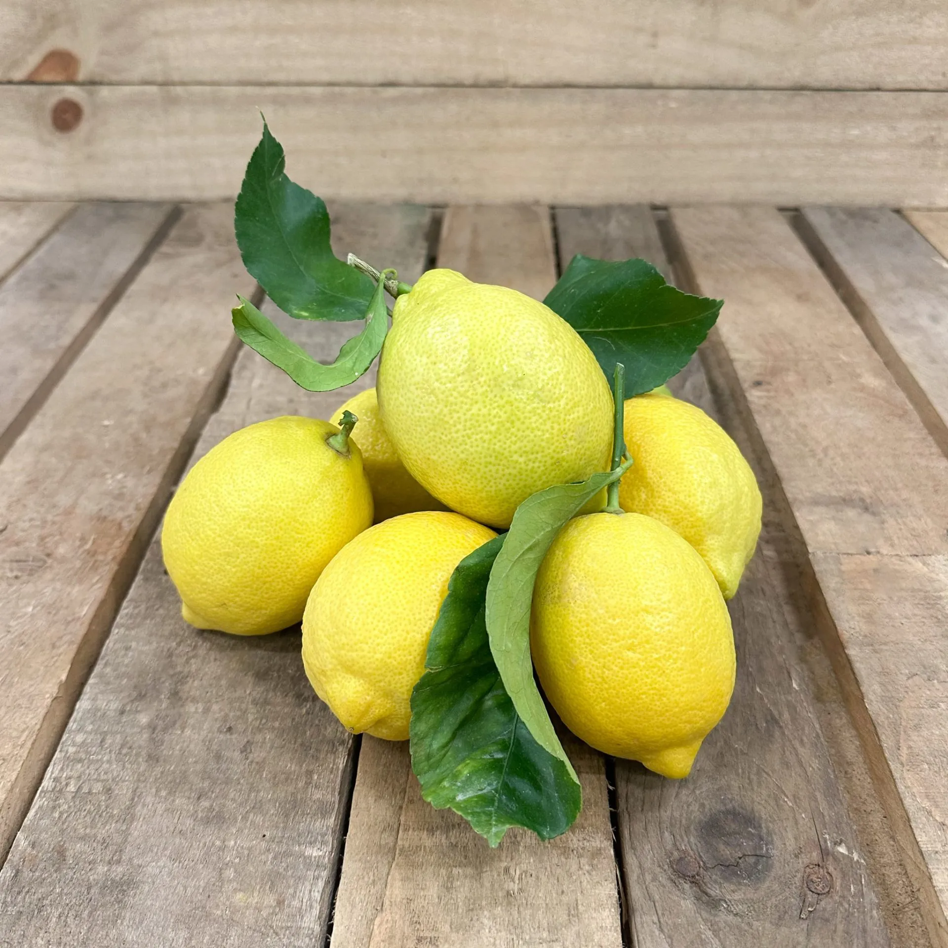 Citron jaune de France - Vins Rouges Harmonieux pour Chaque Occasion Citron jaune de France - Vins Rouges Harmonieux pour Chaque Occasion