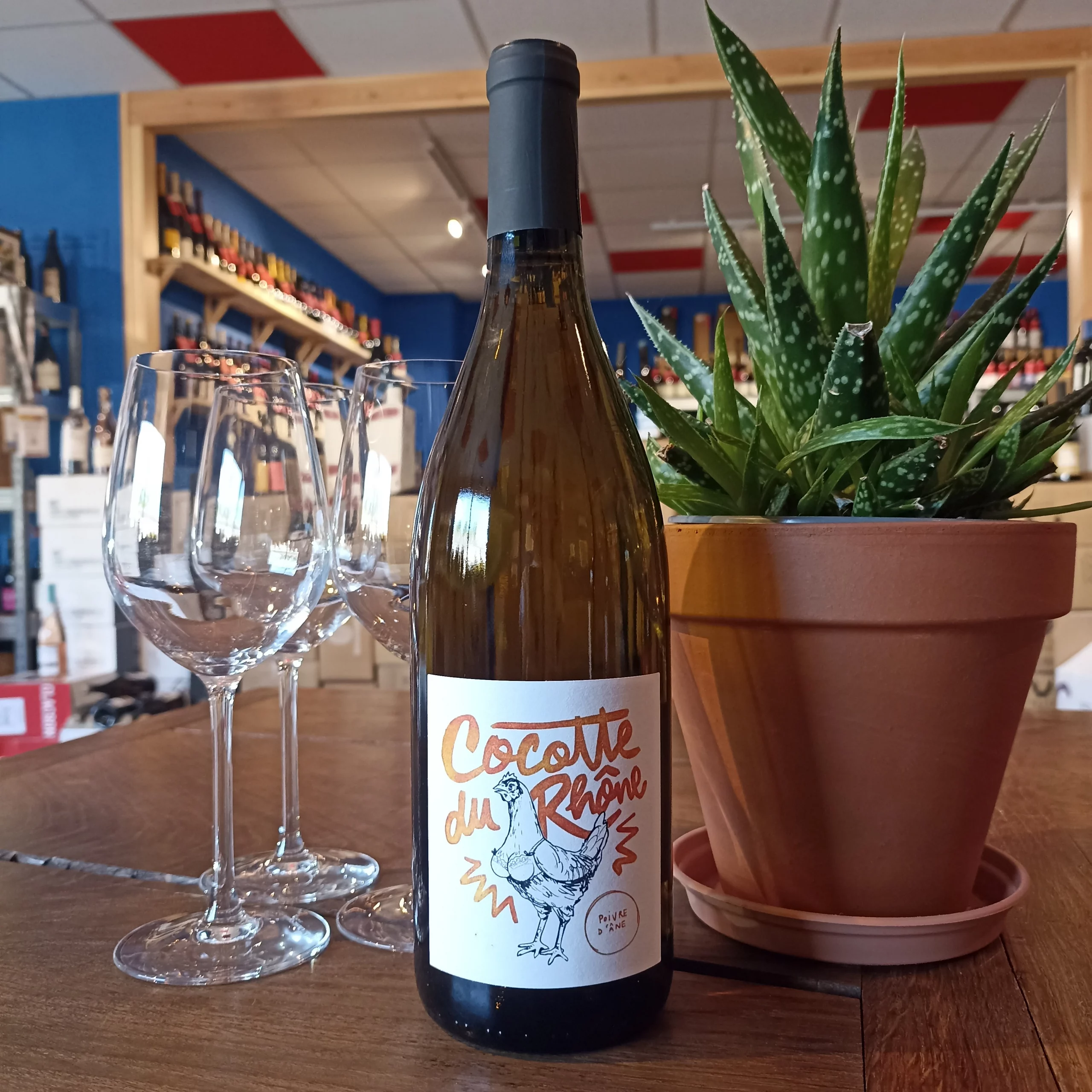 Cocotte du Rhône blanc 2023 Poivre d’Âne - Vins Rouges Harmonieux pour Chaque Occasion Cocotte du Rhône blanc 2023 Poivre d’Âne - Vins Rouges Harmonieux pour Chaque Occasion