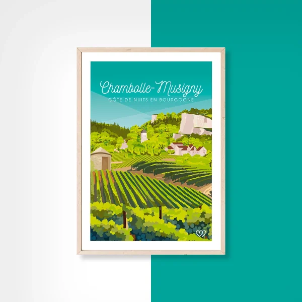 Chambolle-Musigny - Vins Rouges Harmonieux pour Chaque Occasion
