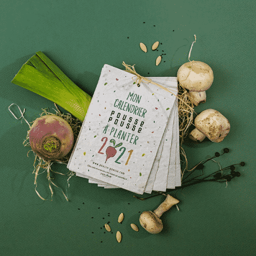 Calendrier à planter - Vins Rouges Harmonieux pour Chaque Occasion Calendrier à planter - Vins Rouges Harmonieux pour Chaque Occasion